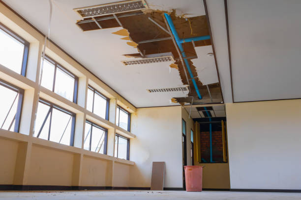 Best Flooded house restoration  in Estell Manor, NJ