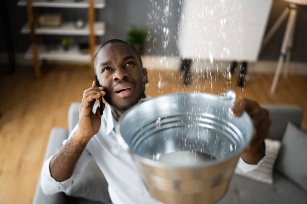 Best 24-hour water damage restoration  in Estell Manor, NJ