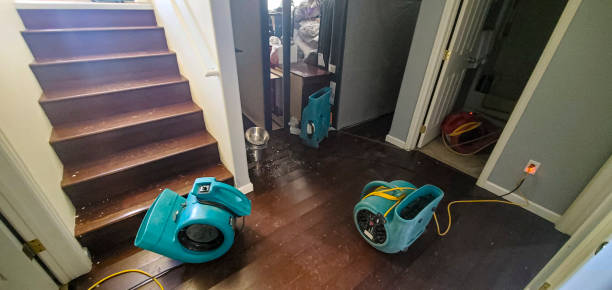 Best Carpet water damage restoration  in Estell Manor, NJ