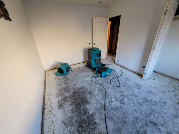 Best Residential water damage restoration  in Estell Manor, NJ