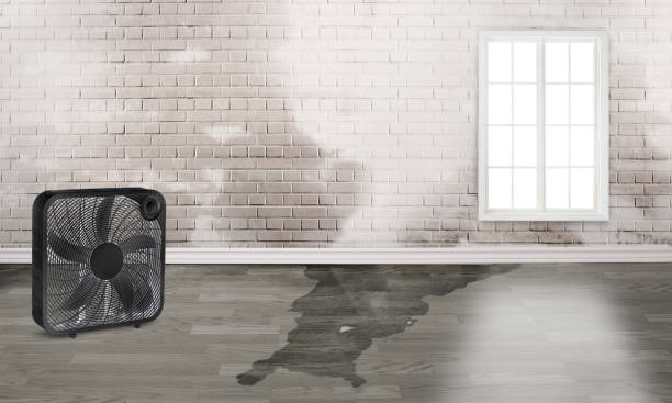 Best Fire Damage Restoration  in Estell Manor, NJ