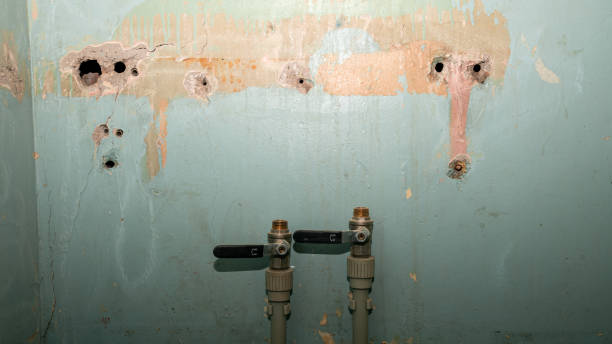 Best Water damage restoration experts  in Estell Manor, NJ