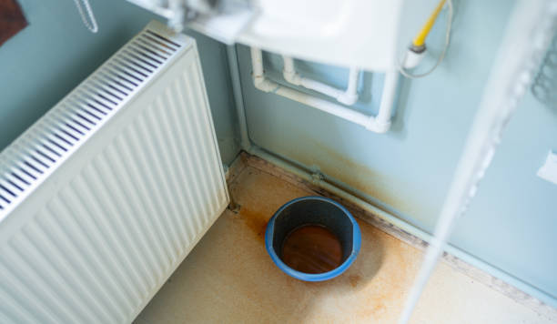 Best Water damage cleanup near me  in Estell Manor, NJ