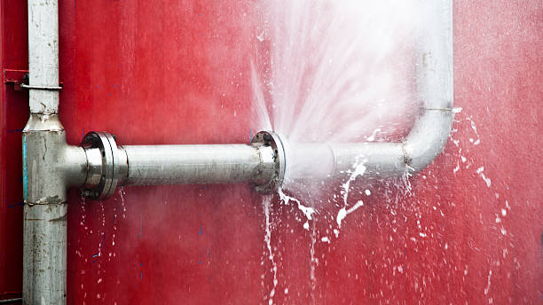 Best Flood restoration services  in Estell Manor, NJ